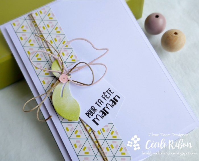 Carte FMS438 - P1170663