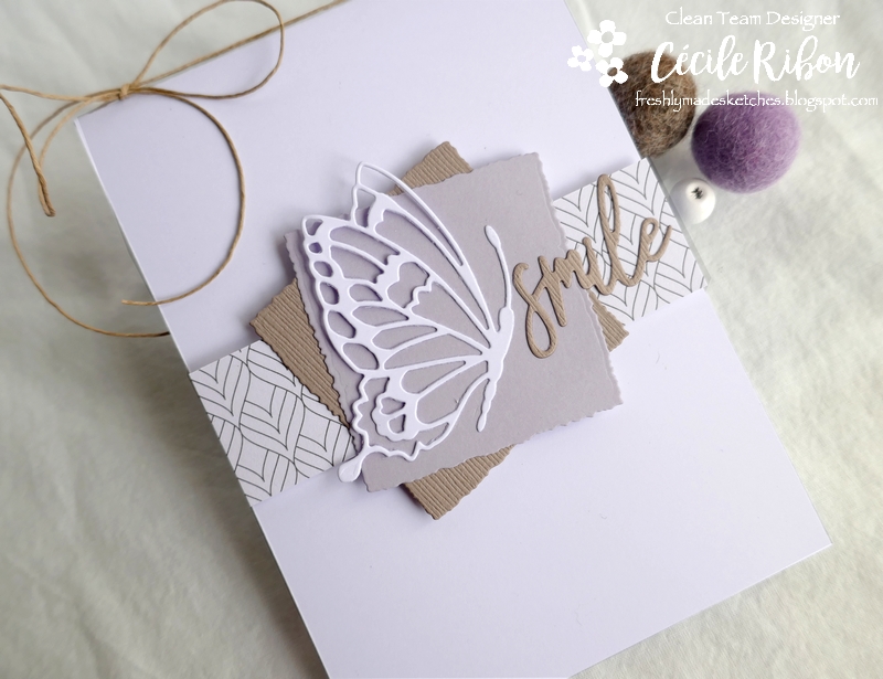 Carte FMS439 - P1170862