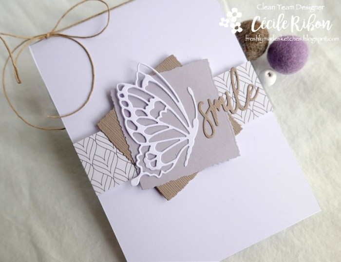 Carte FMS439 - P1170862