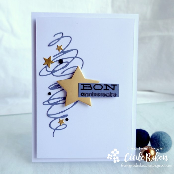 Carte FMS441 - P1180285