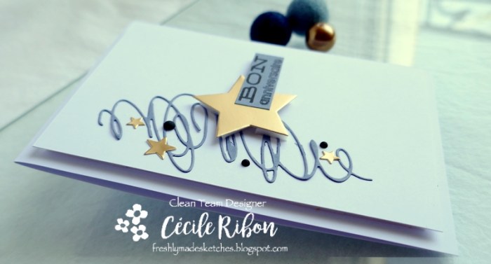 Carte FMS441 - P1180307