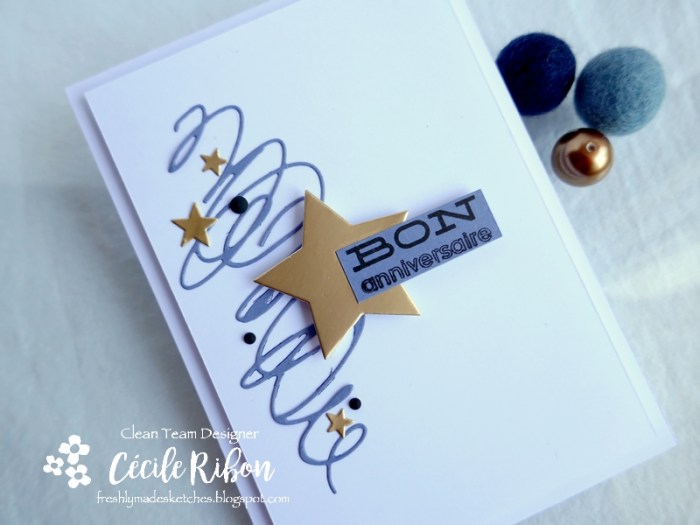 Carte FMS441 - P1180311