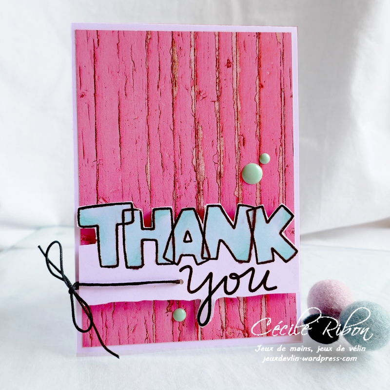 Carte FUSION60 - P1170678