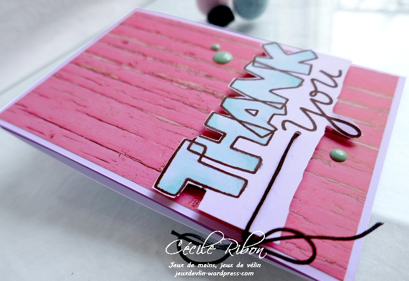 Carte FUSION60 - P1170684