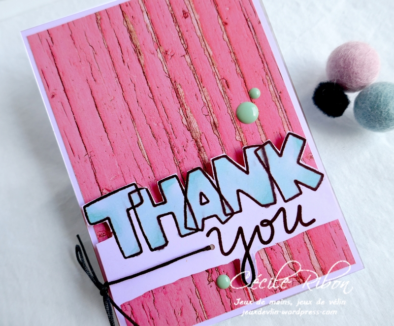 Carte FUSION60 - P1170691