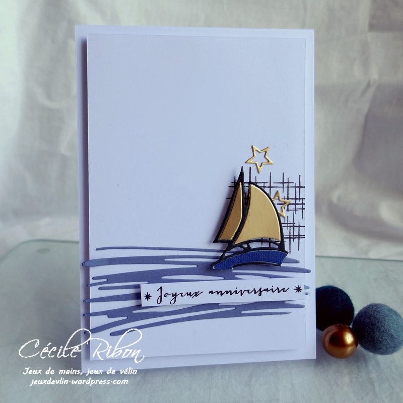 Carte FUSION61 - P1180262