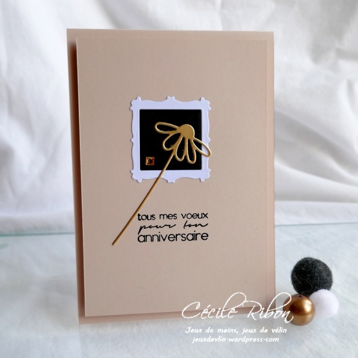 Carte JUGS540 - P1170940