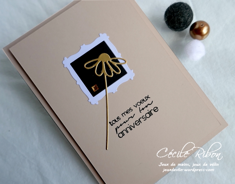 Carte JUGS540 - P1170974