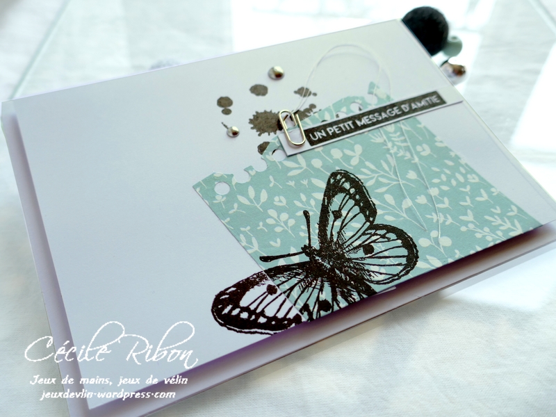 Carte CBBB36 - P1180540