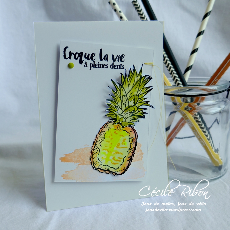 Carte CTD603 - P1180648