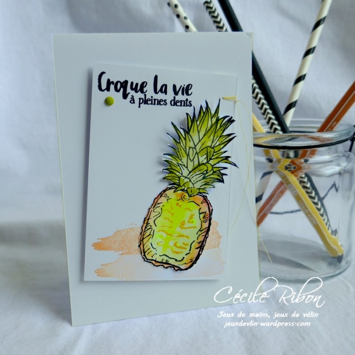 Carte CTD603 - P1180648