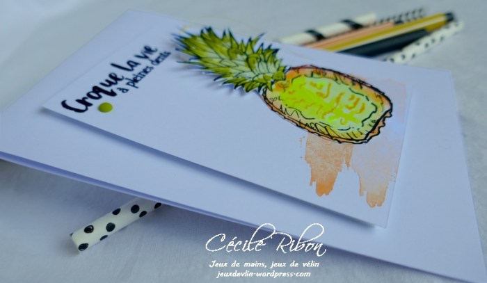 Carte CTD603 - P1180654