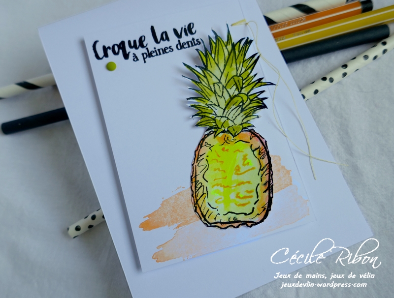 Carte CTD603 - P1180662