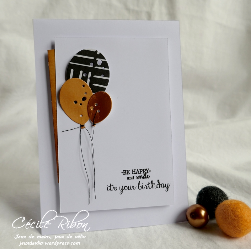 Carte CTD604 - P1180747