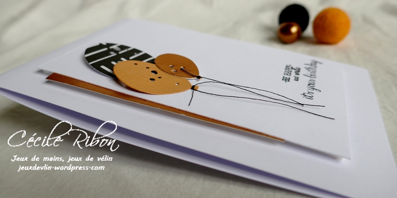 Carte CTD604 - P1180749