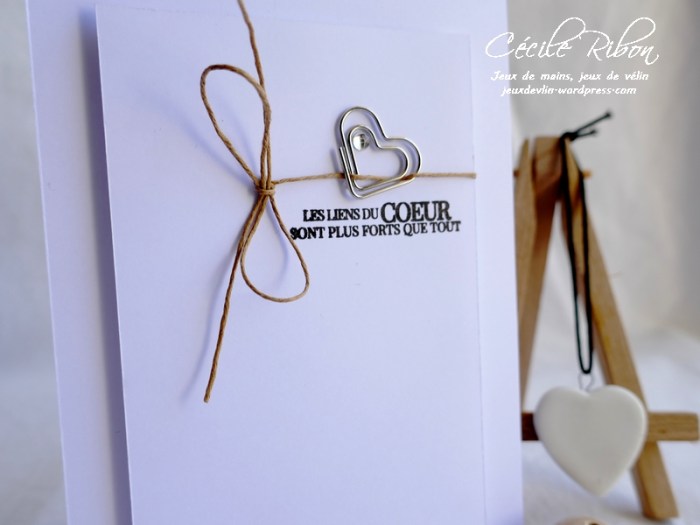 Carte CTS382 - P1180712