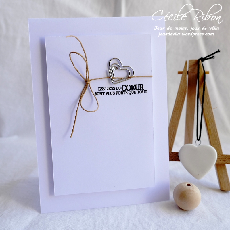 Carte CTS382 - P1180716