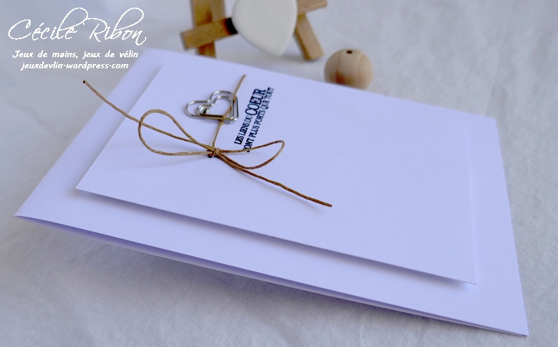 Carte CTS382 - P1180728