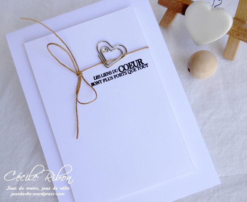 Carte CTS382 - P1180735