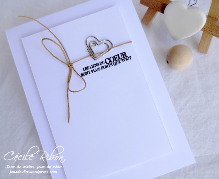 Carte CTS382 - P1180735