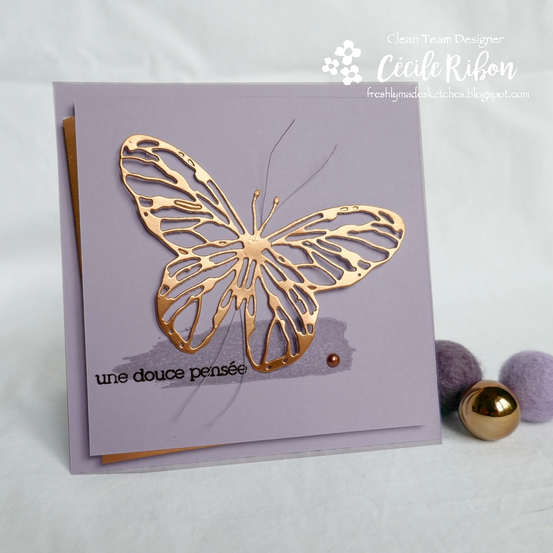 Carte FMS444 - P1180432