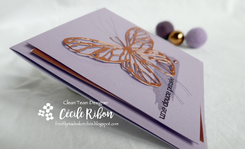 Carte FMS444 - P1180442