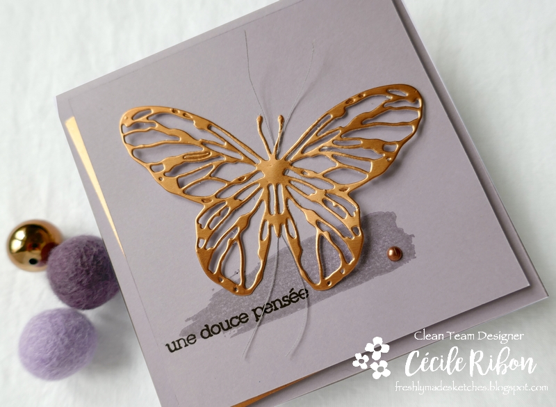 Carte FMS444 - P1180447