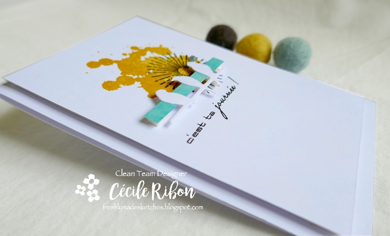 Carte FMS445 - P1180572