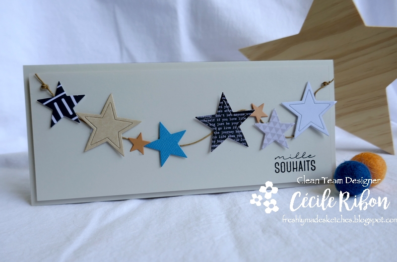 Carte FMS446 - P1180675