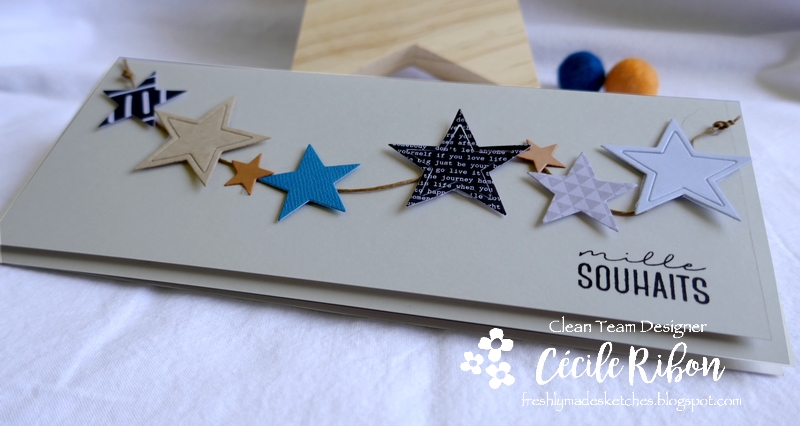 Carte FMS446 - P1180684