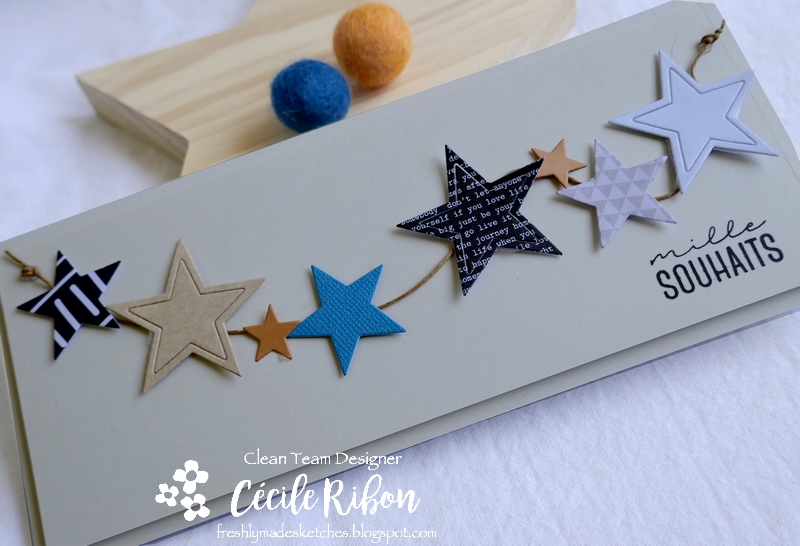 carte FMS446 - P1180694