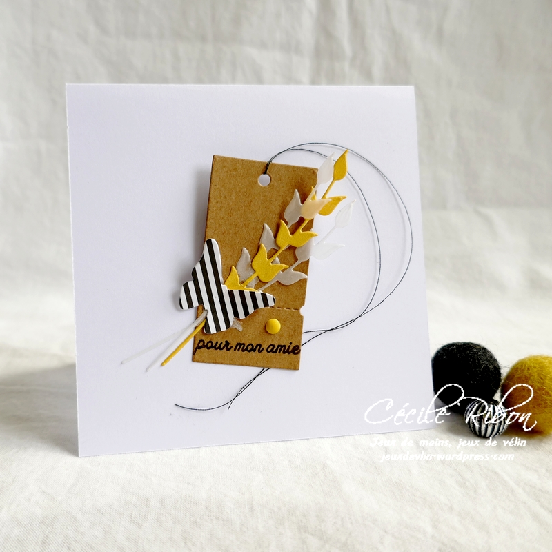 Carte CBBB38 - P1190054