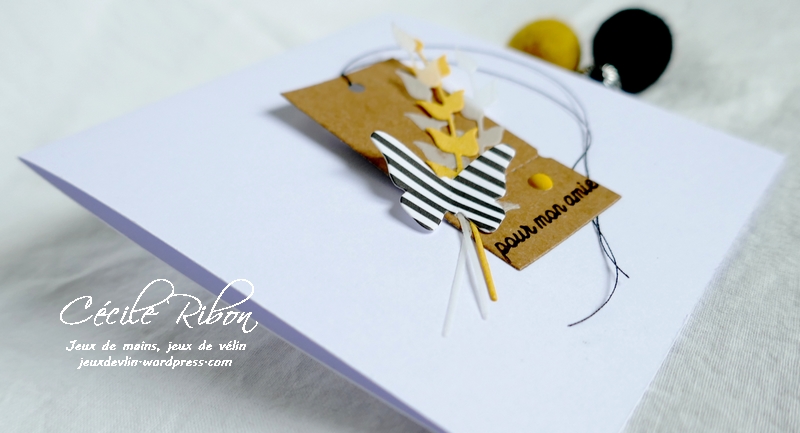 Carte CBBB38 - P1190065