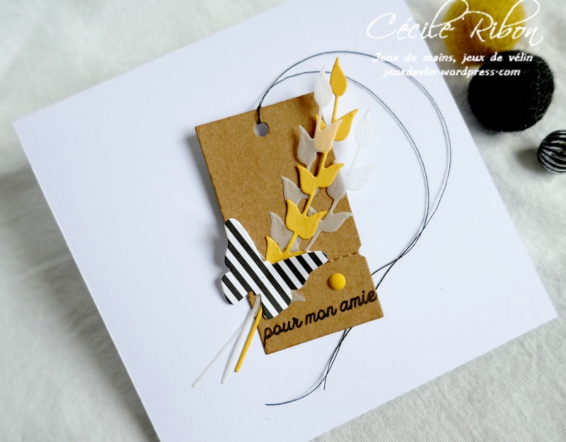 Carte CBBB38 - P1190070