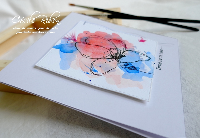 Carte CTD605 - P1180961