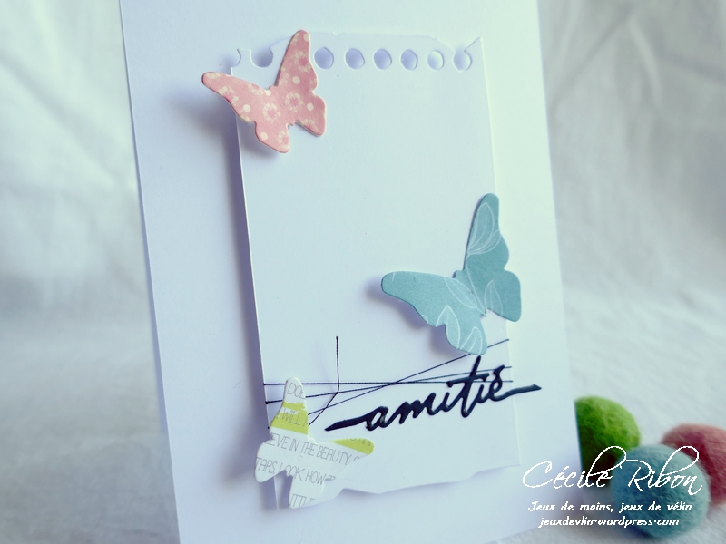 Carte CTS383 - P1180872