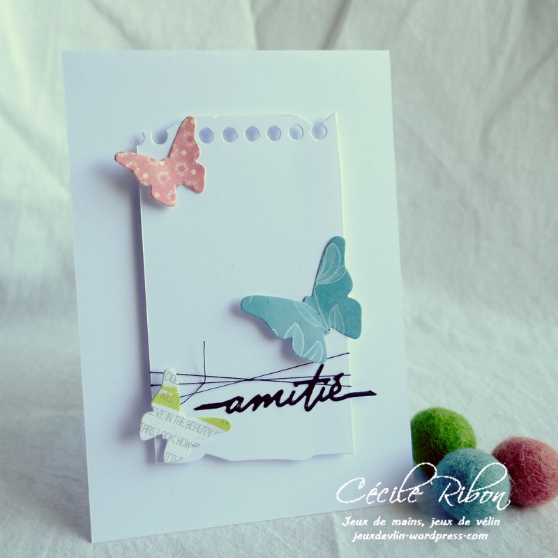 Carte CTS383 - P1180873