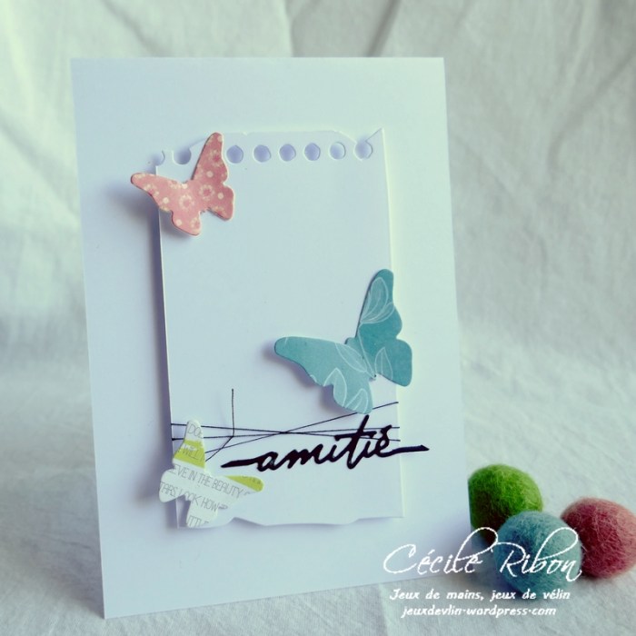 Carte CTS383 - P1180873