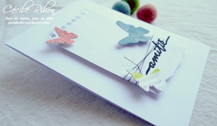 Carte CTS383 - P1180879