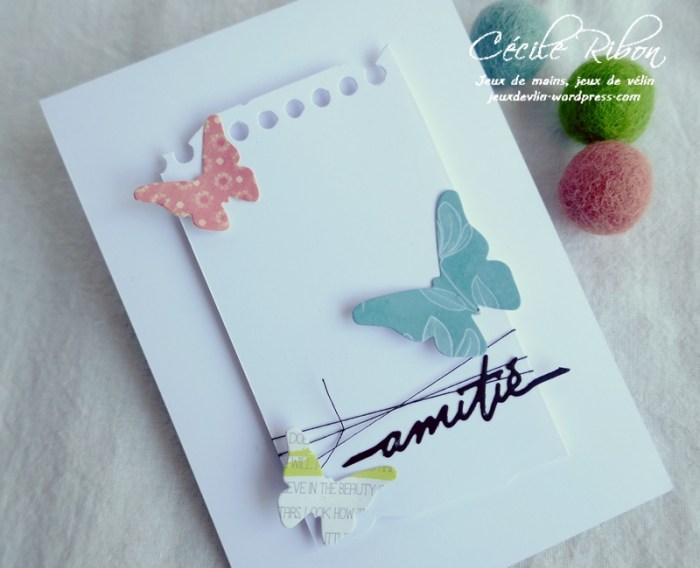 Carte CTS383 - P1180889