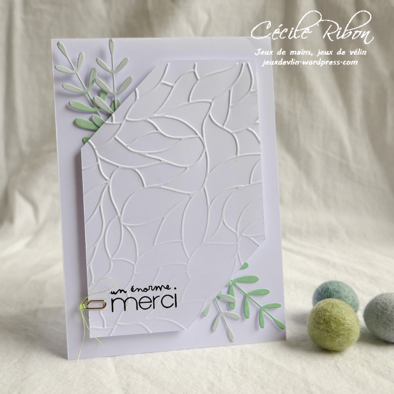 Carte CTS384 - P1180983