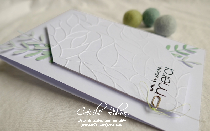 Carte CTS384 - P1180991