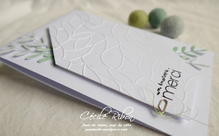 Carte CTS384 - P1180991