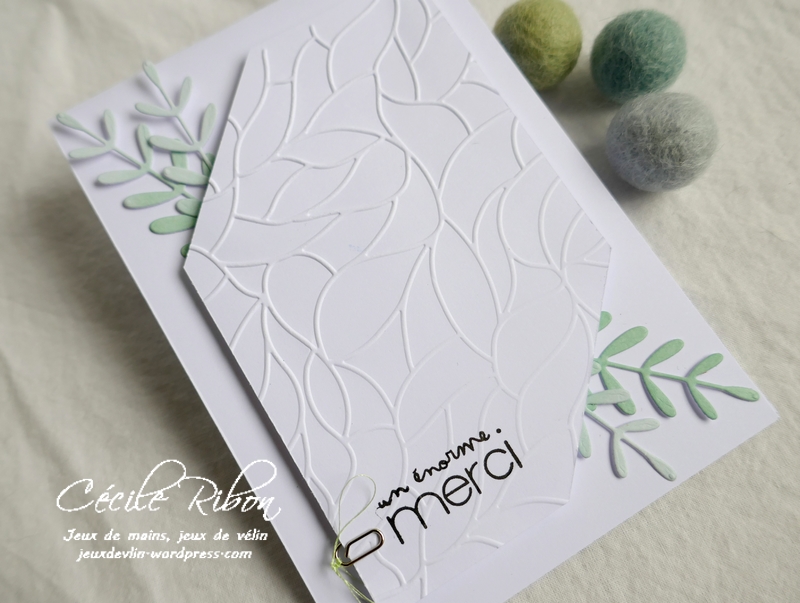 Carte CTS384 - P1180997