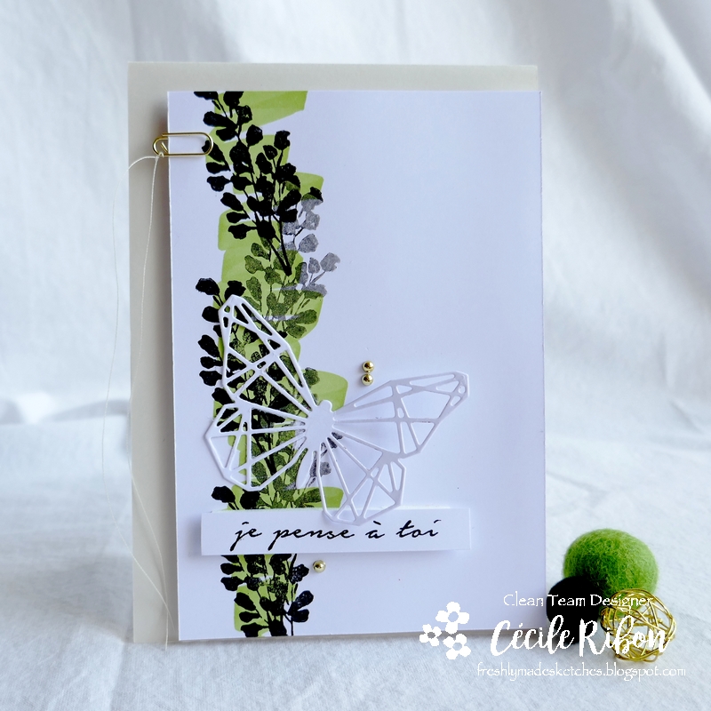 Carte FMS447 - P1180901