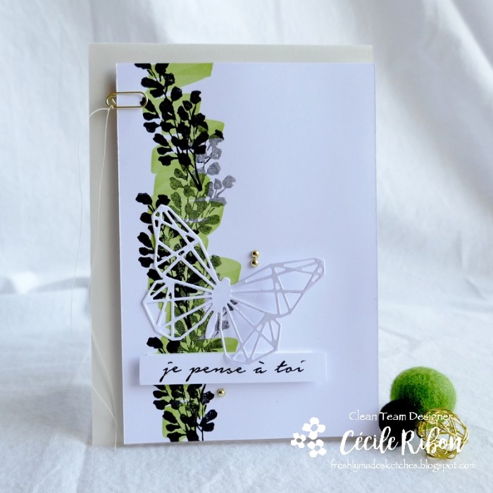 Carte FMS447 - P1180901