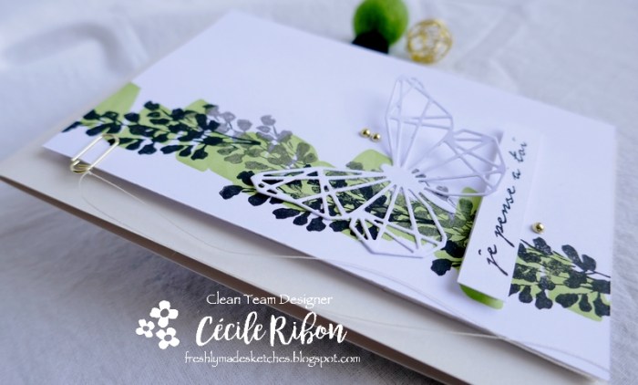 carte FMS447 - P1180908