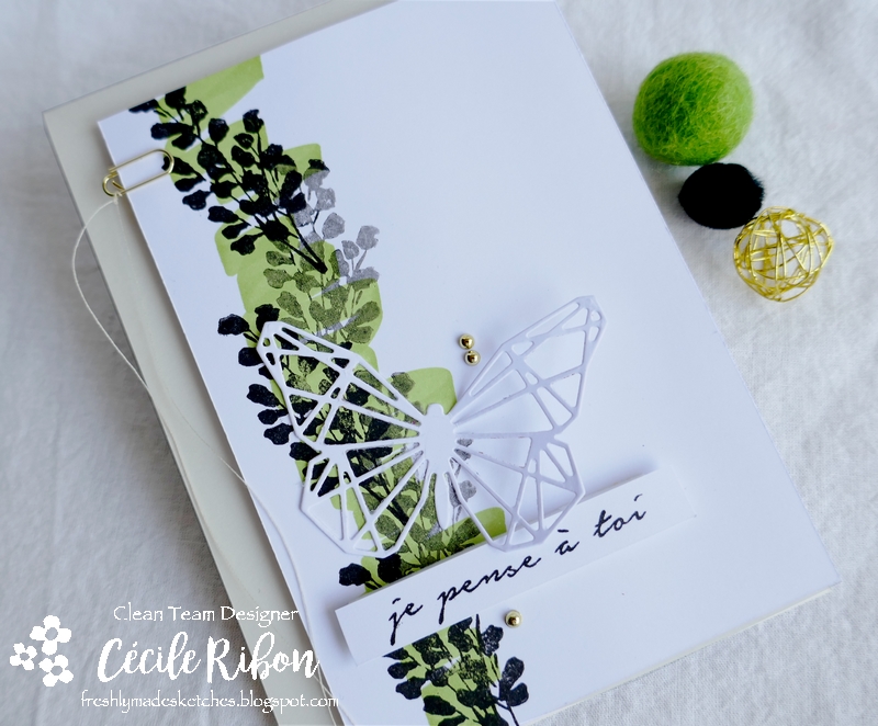 Carte FMS447 - P1180913