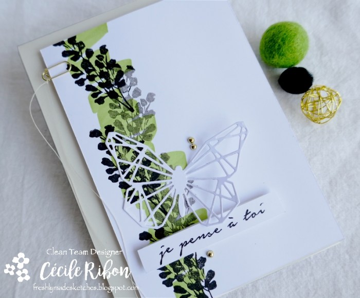 Carte FMS447 - P1180913