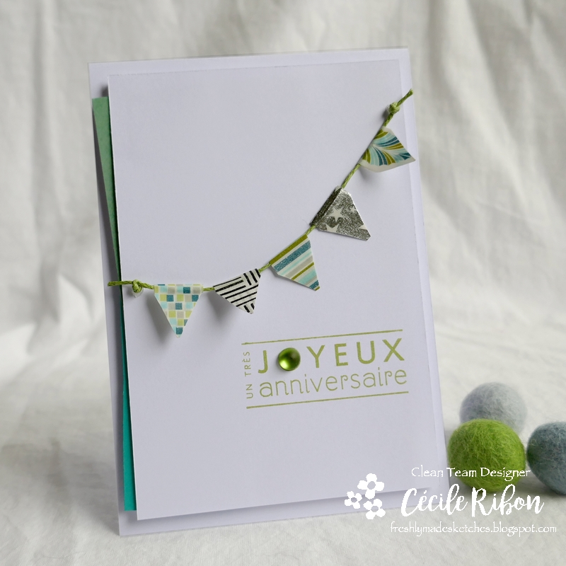 Carte FMS448 - P1190009